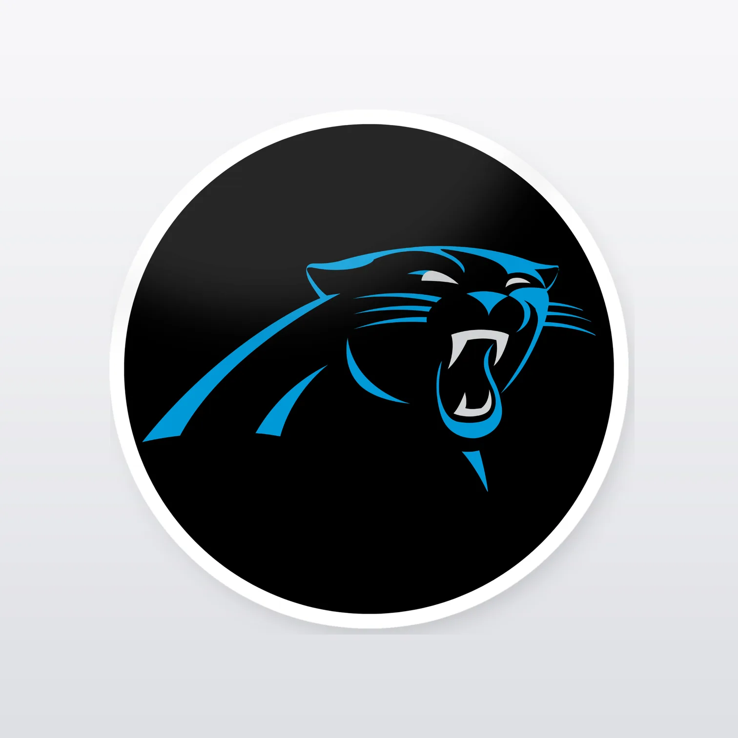 Carolina Panthers Aufkleber Set