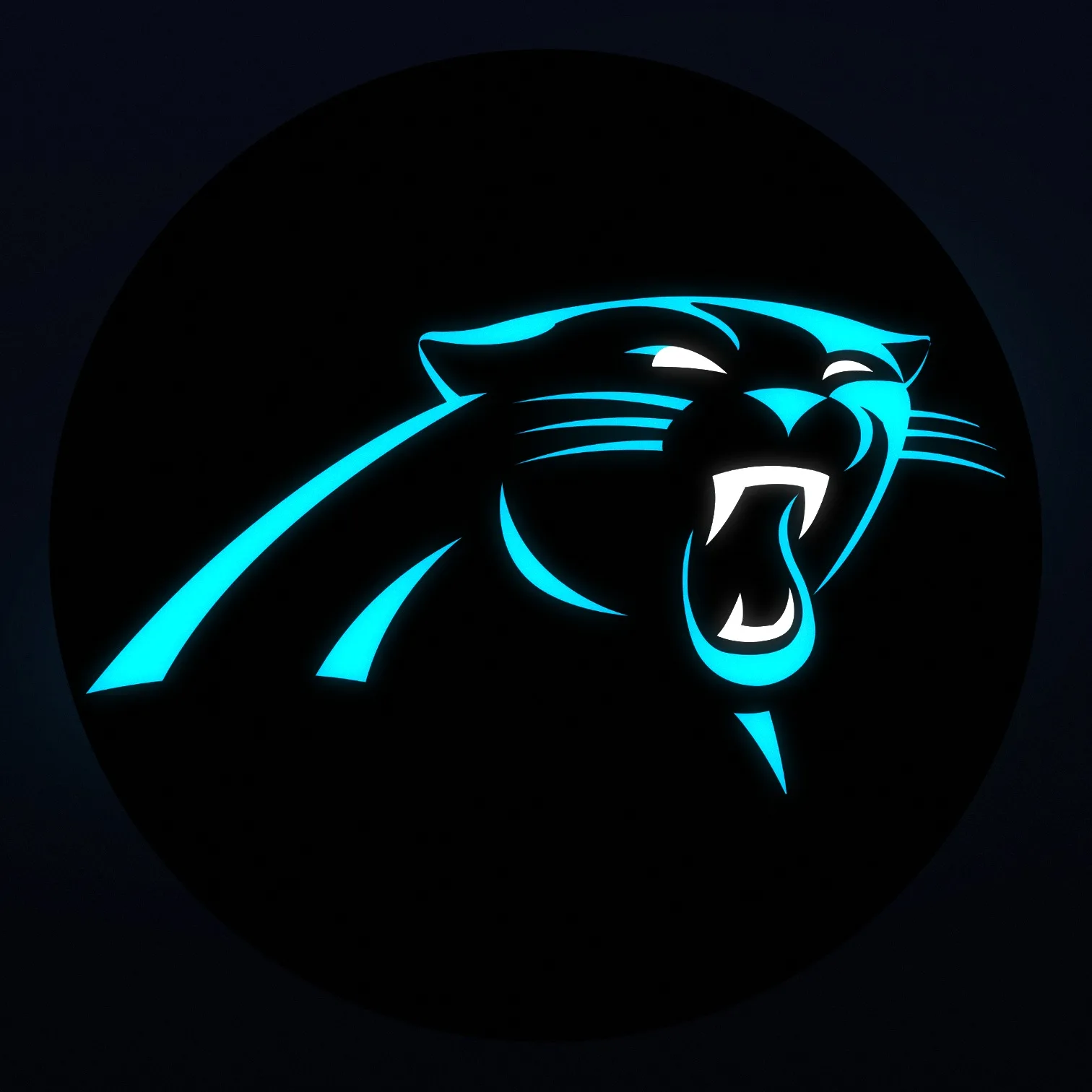 Carolina Panthers LED-Leuchte