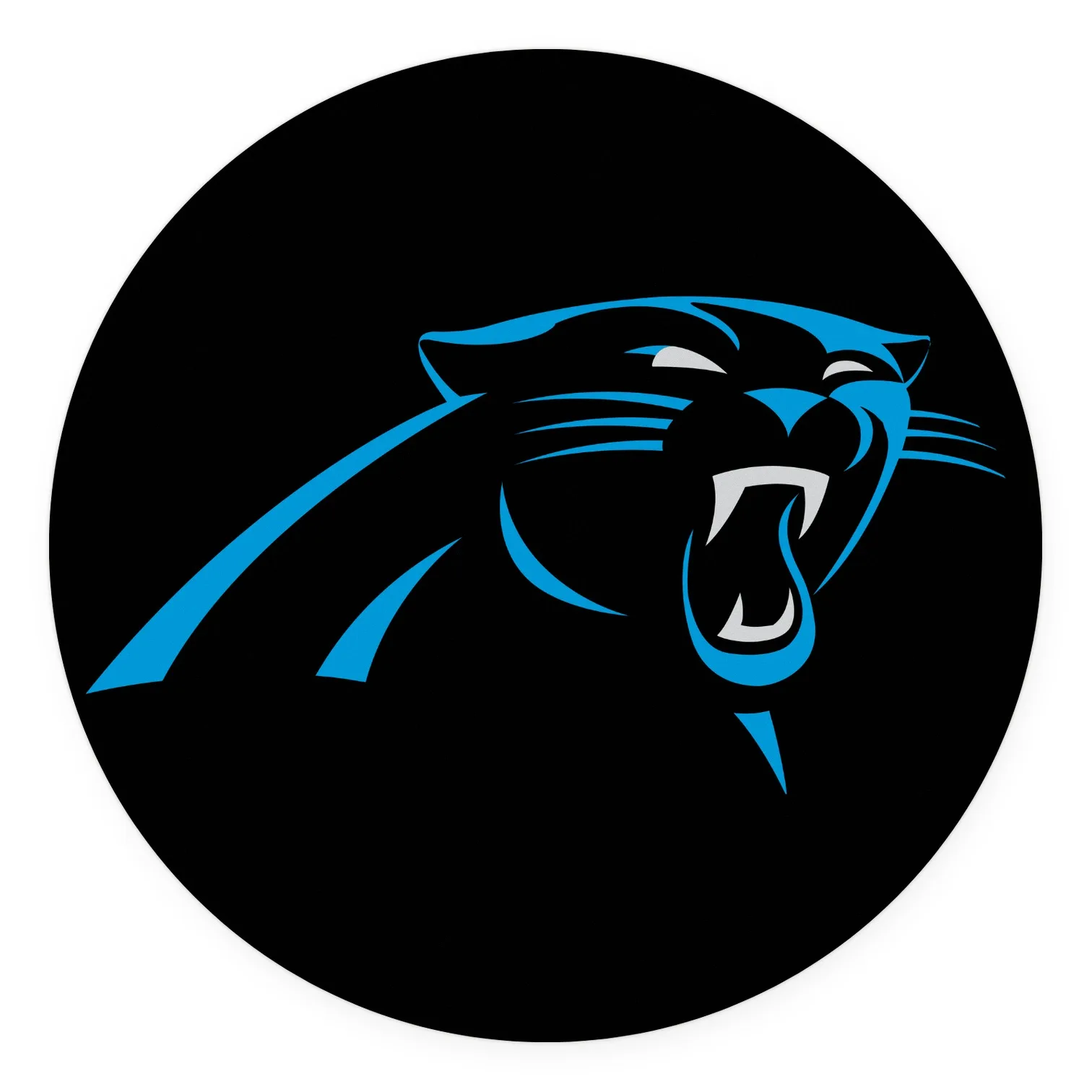 Carolina Panthers LED-Leuchte