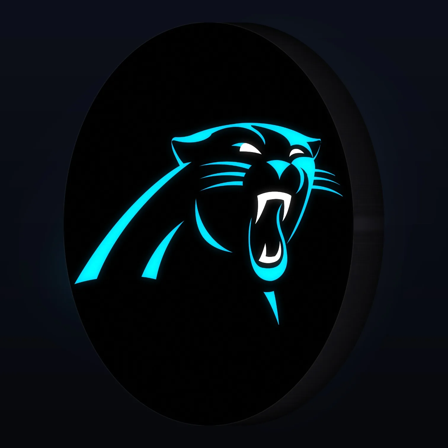 Carolina Panthers LED-Leuchte