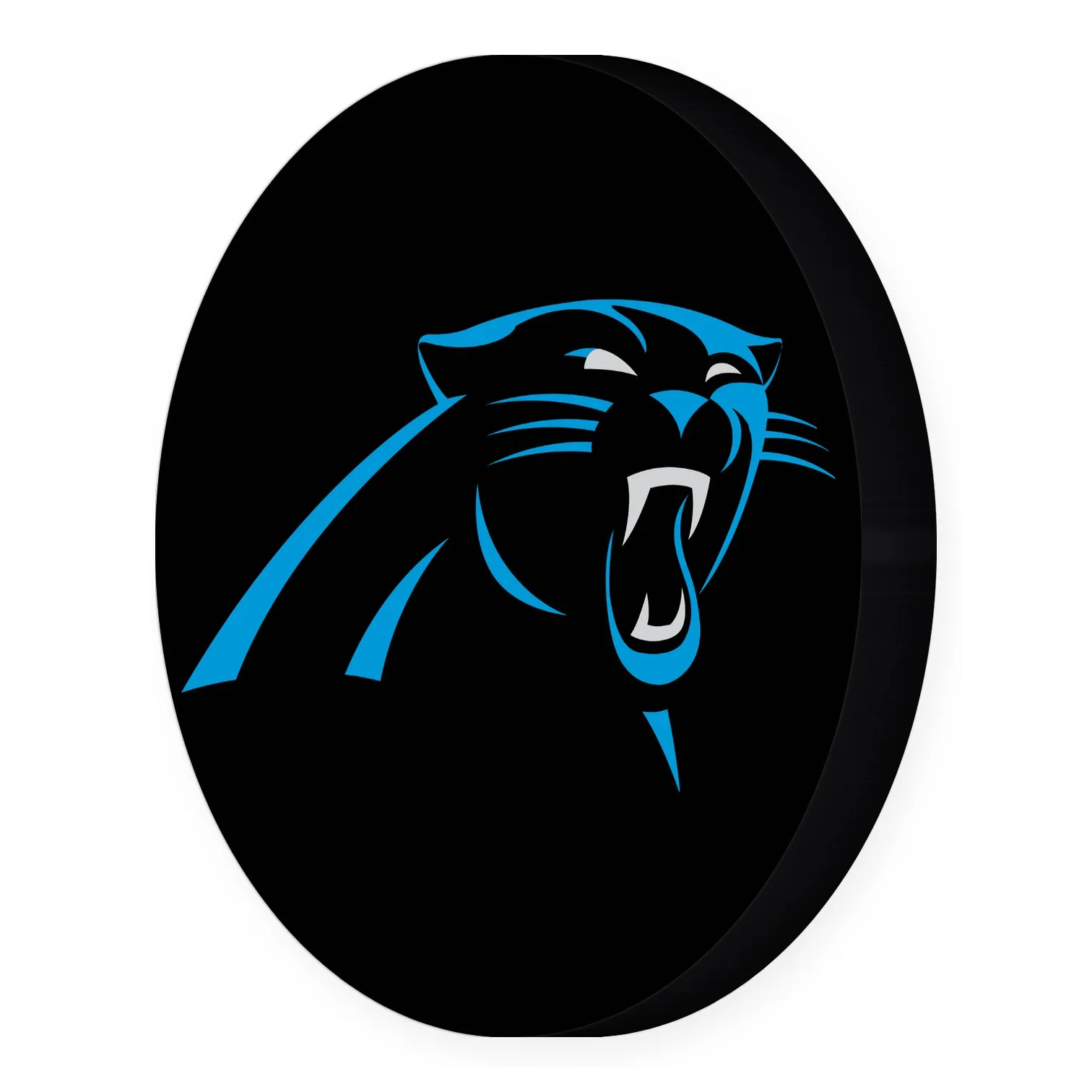 Carolina Panthers LED-Leuchte