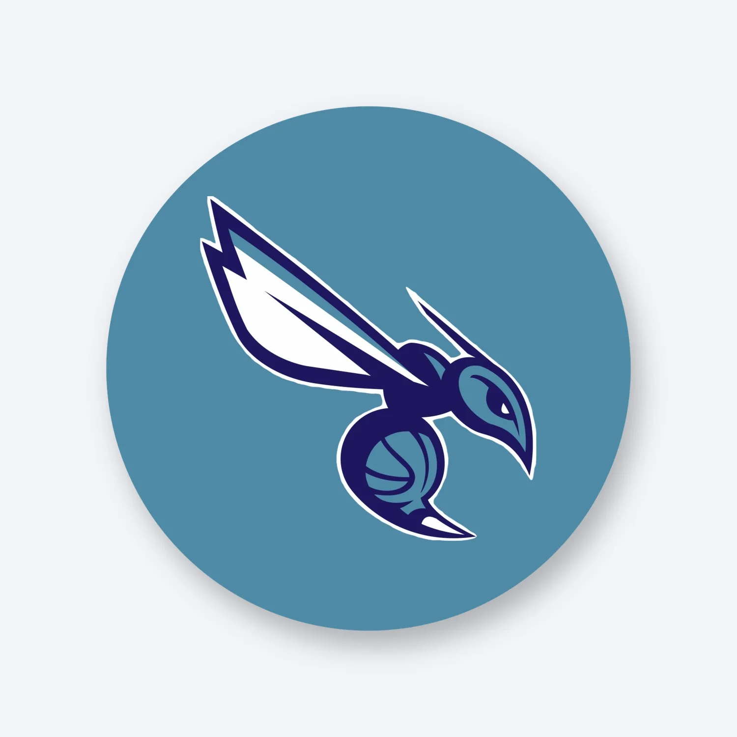 Charlotte Hornets NBA Aufkleber Set