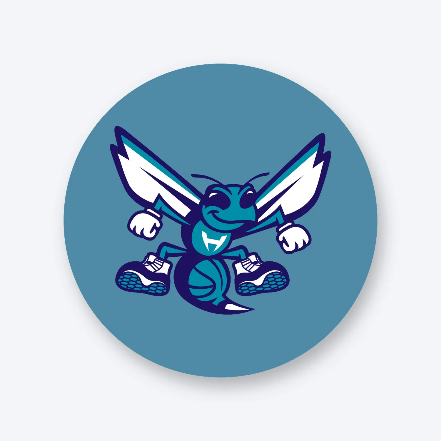 Charlotte Hornets NBA Aufkleber Set II