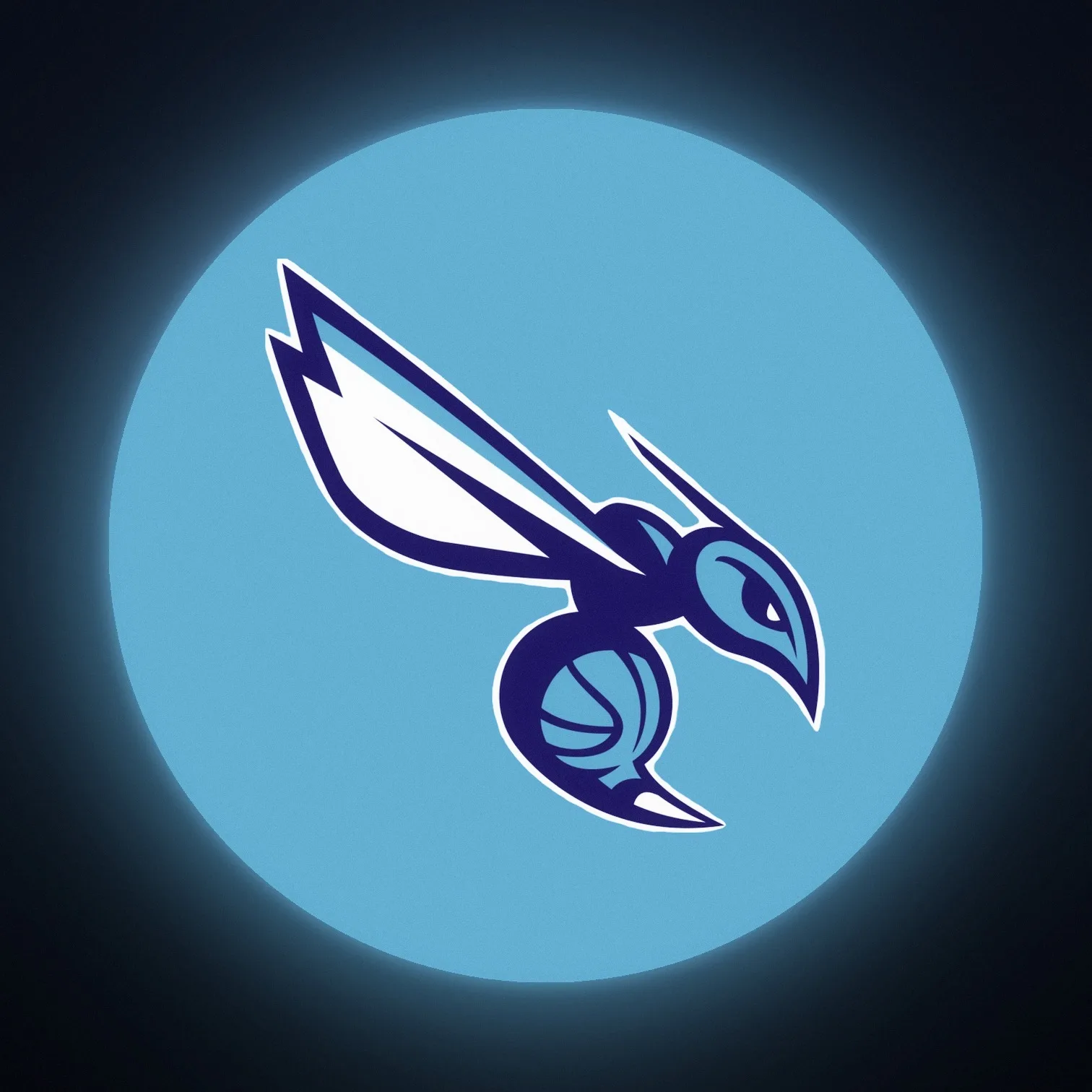 Charlotte Hornets NBA LED-Leuchte