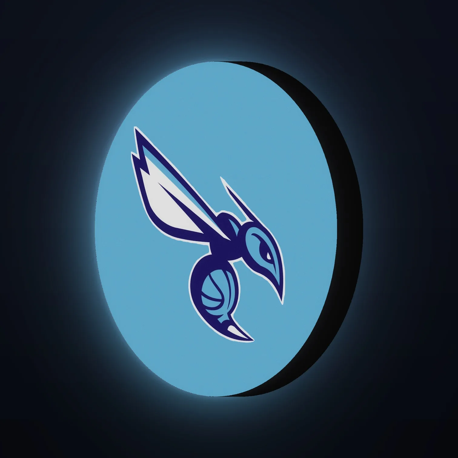 Charlotte Hornets NBA LED-Leuchte