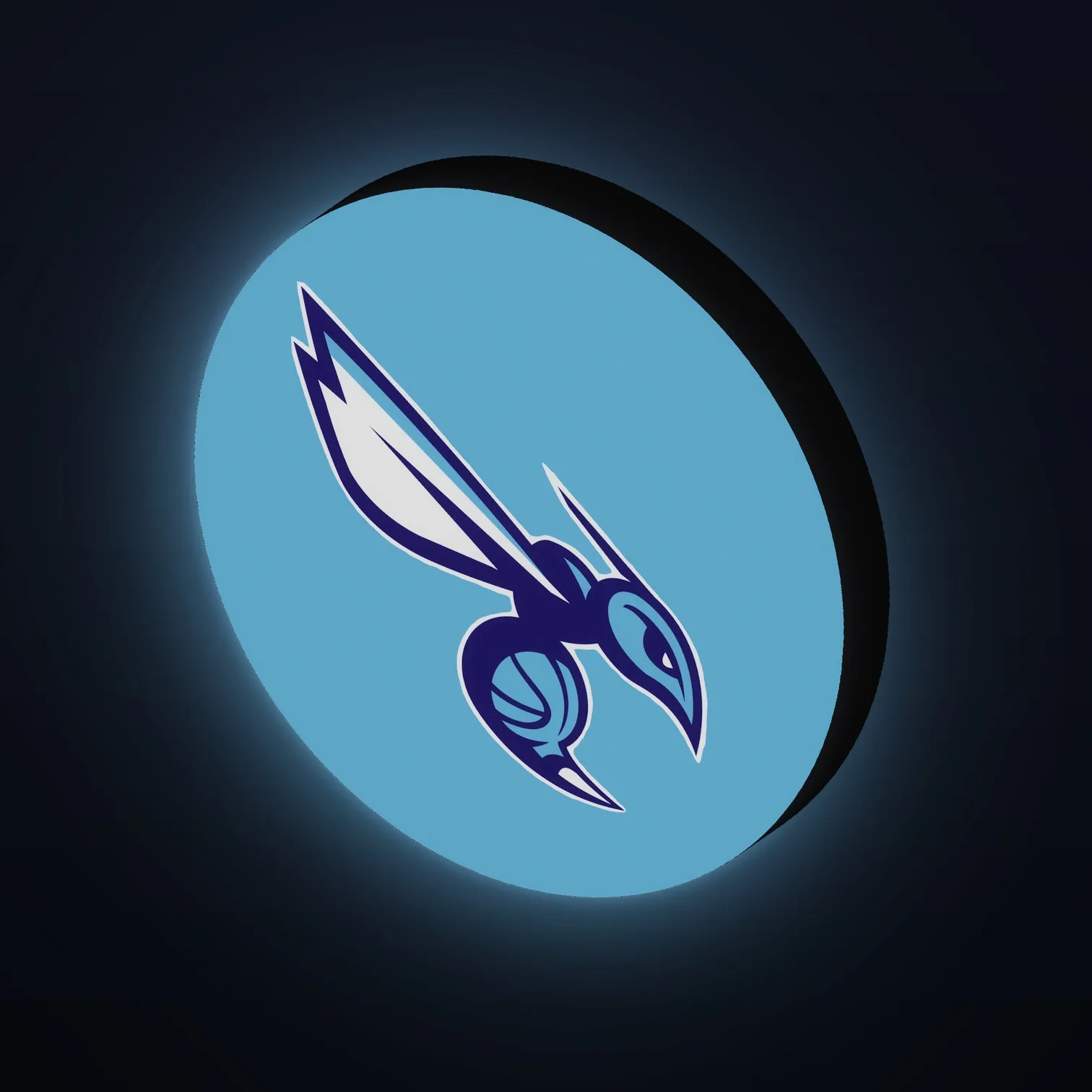 Charlotte Hornets NBA LED-Leuchte