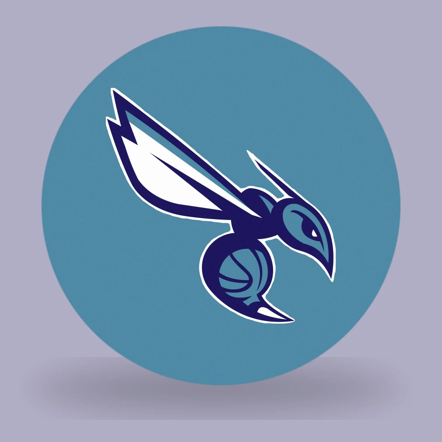Charlotte Hornets NBA LED-Leuchte