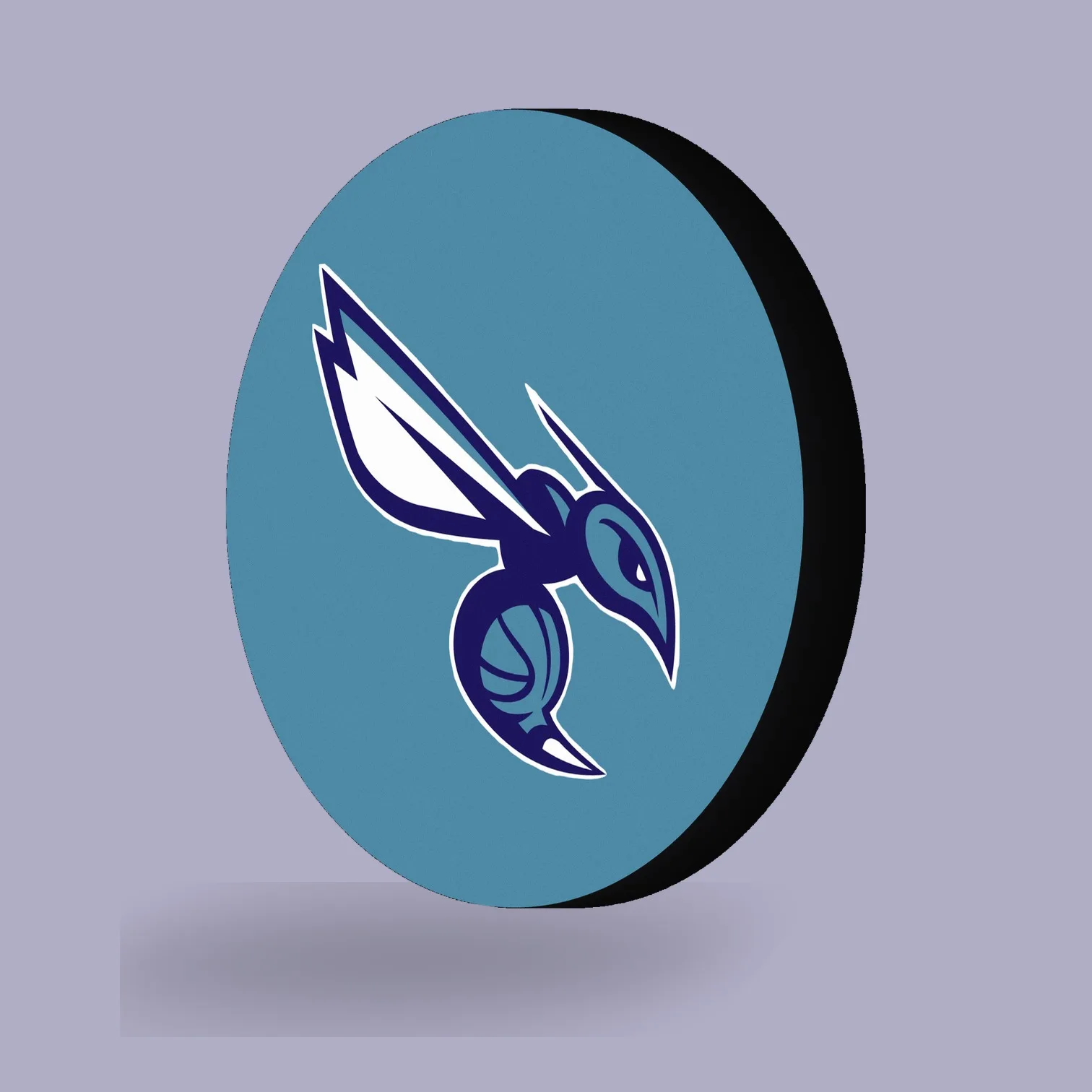 Charlotte Hornets NBA LED-Leuchte