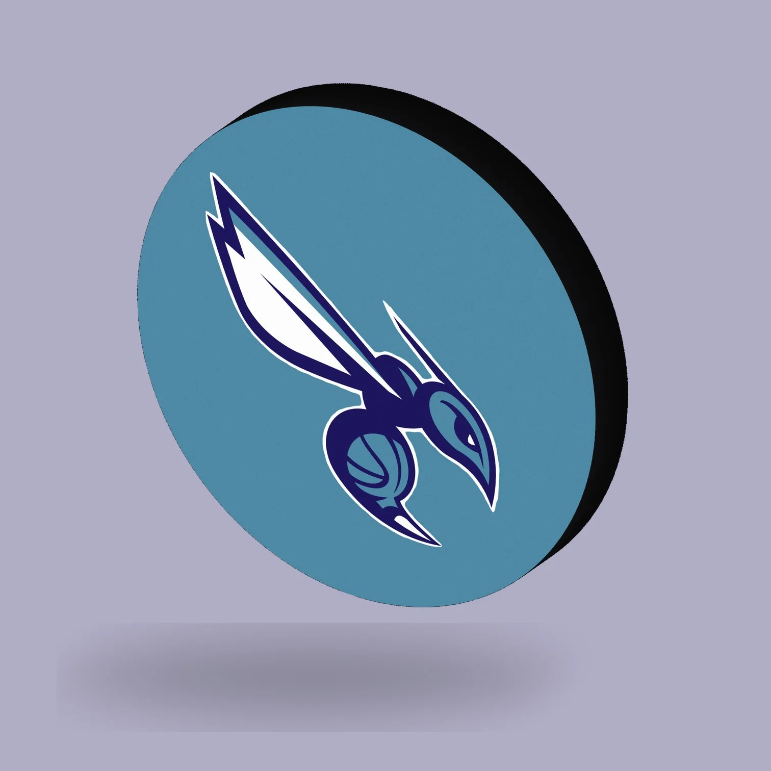 Charlotte Hornets NBA LED-Leuchte