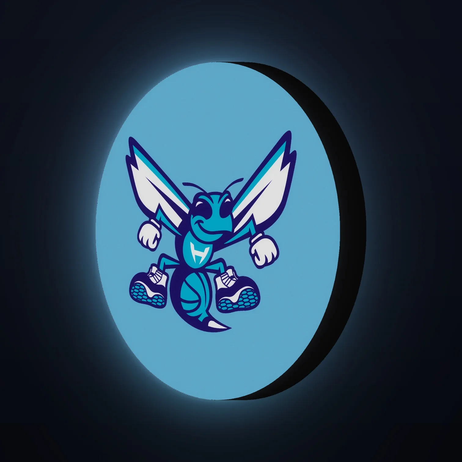 Charlotte Hornets NBA LED-Leuchte II