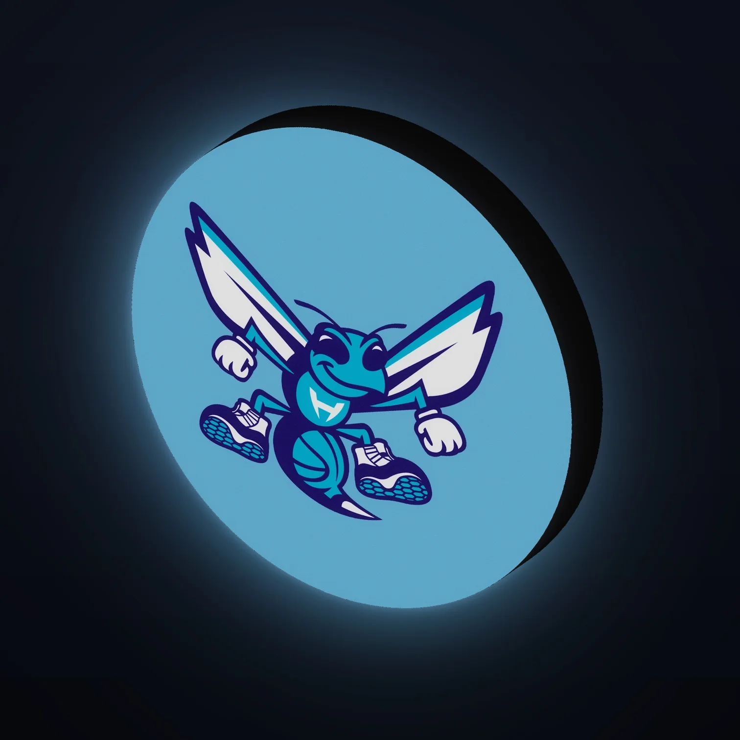 Charlotte Hornets NBA LED-Leuchte II