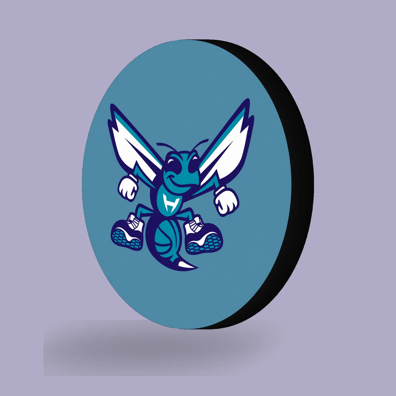 Charlotte Hornets NBA LED-Leuchte II