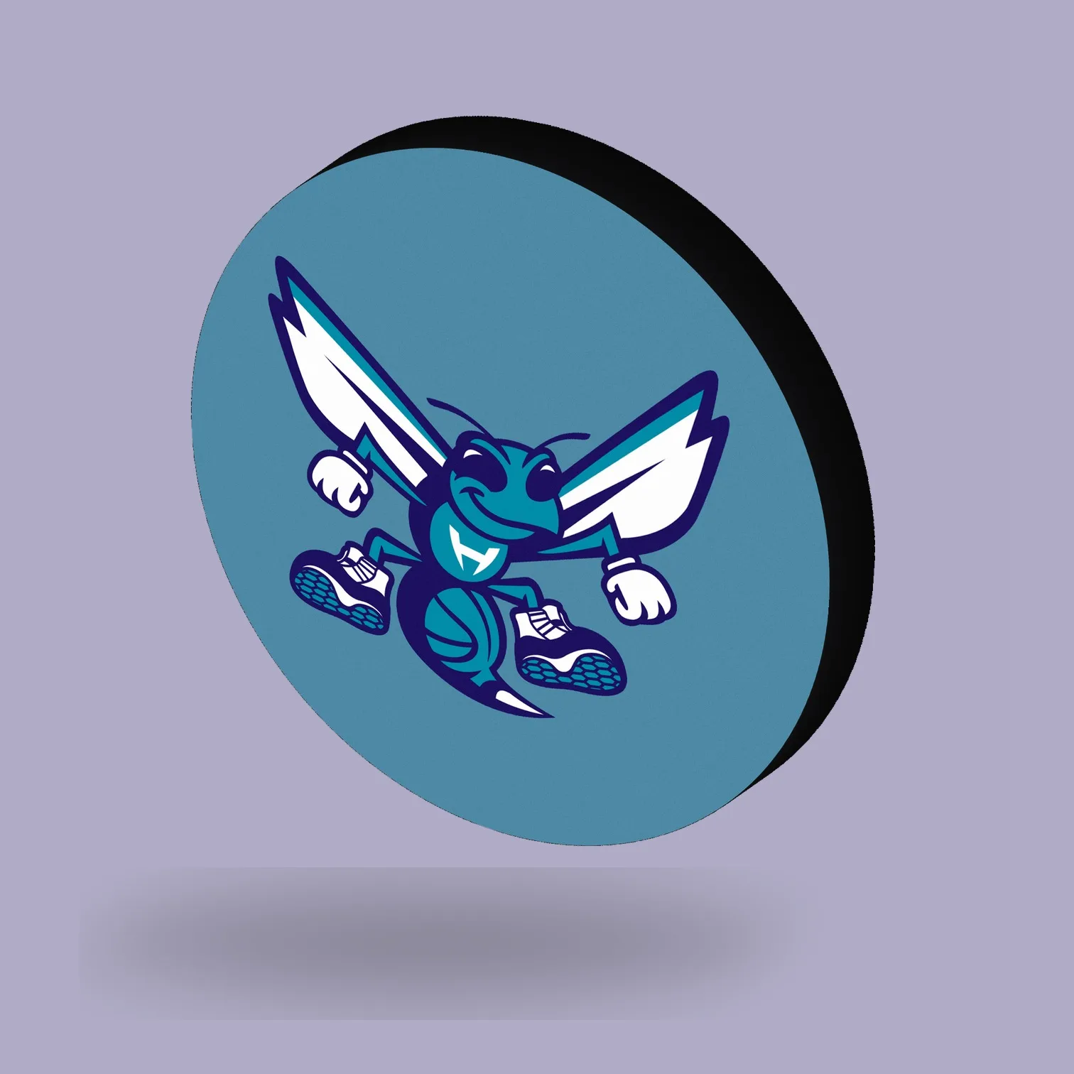 Charlotte Hornets NBA LED-Leuchte II