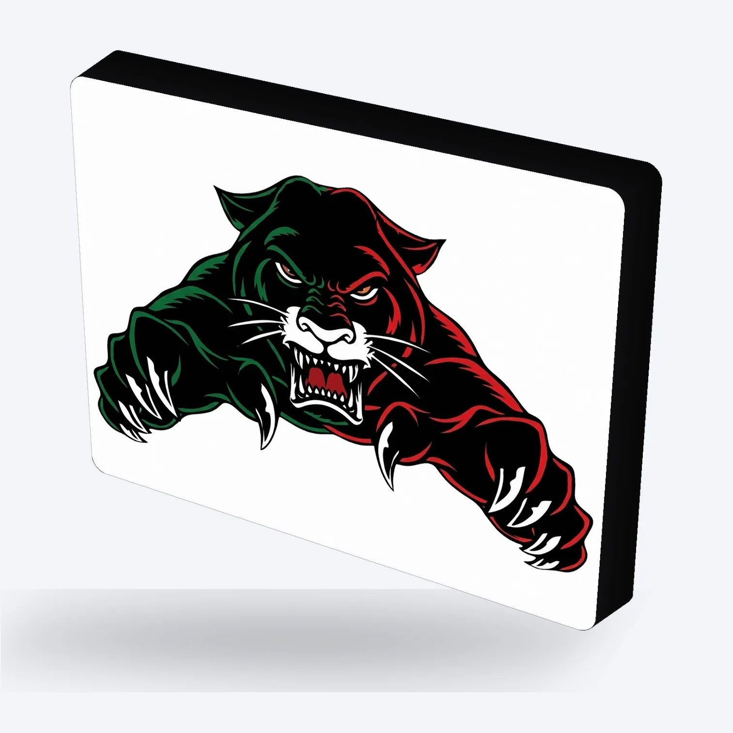 DEL Augsburger Panther LED-Leuchte IV