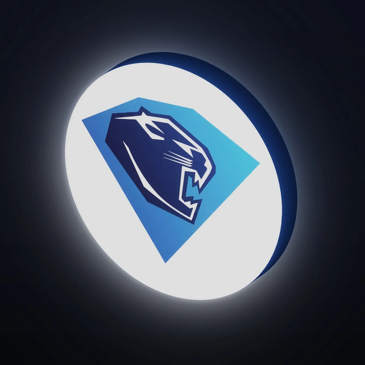 DEL ERC Ingolstadt LED-Leuchte