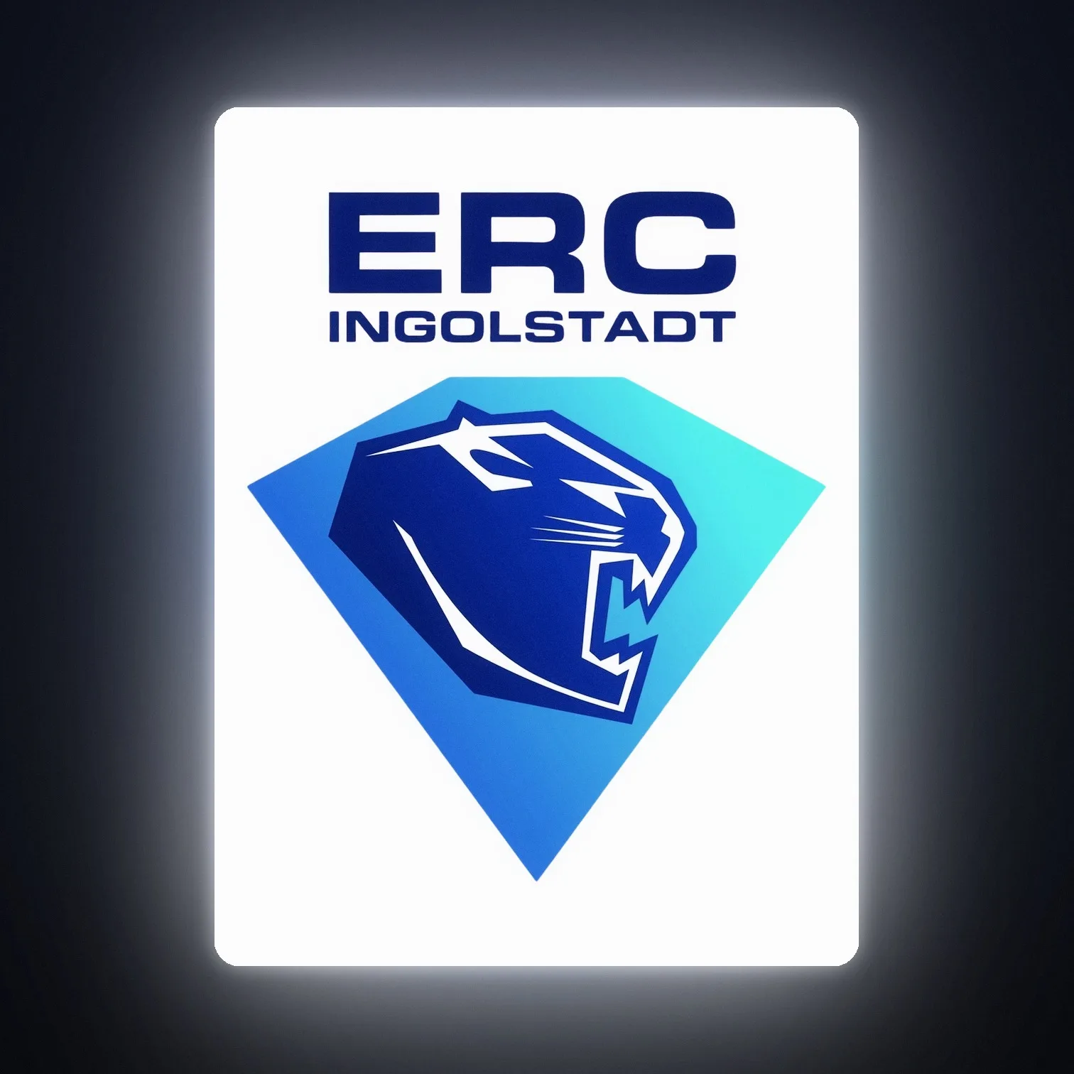 DEL ERC Ingolstadt LED-Leuchte III