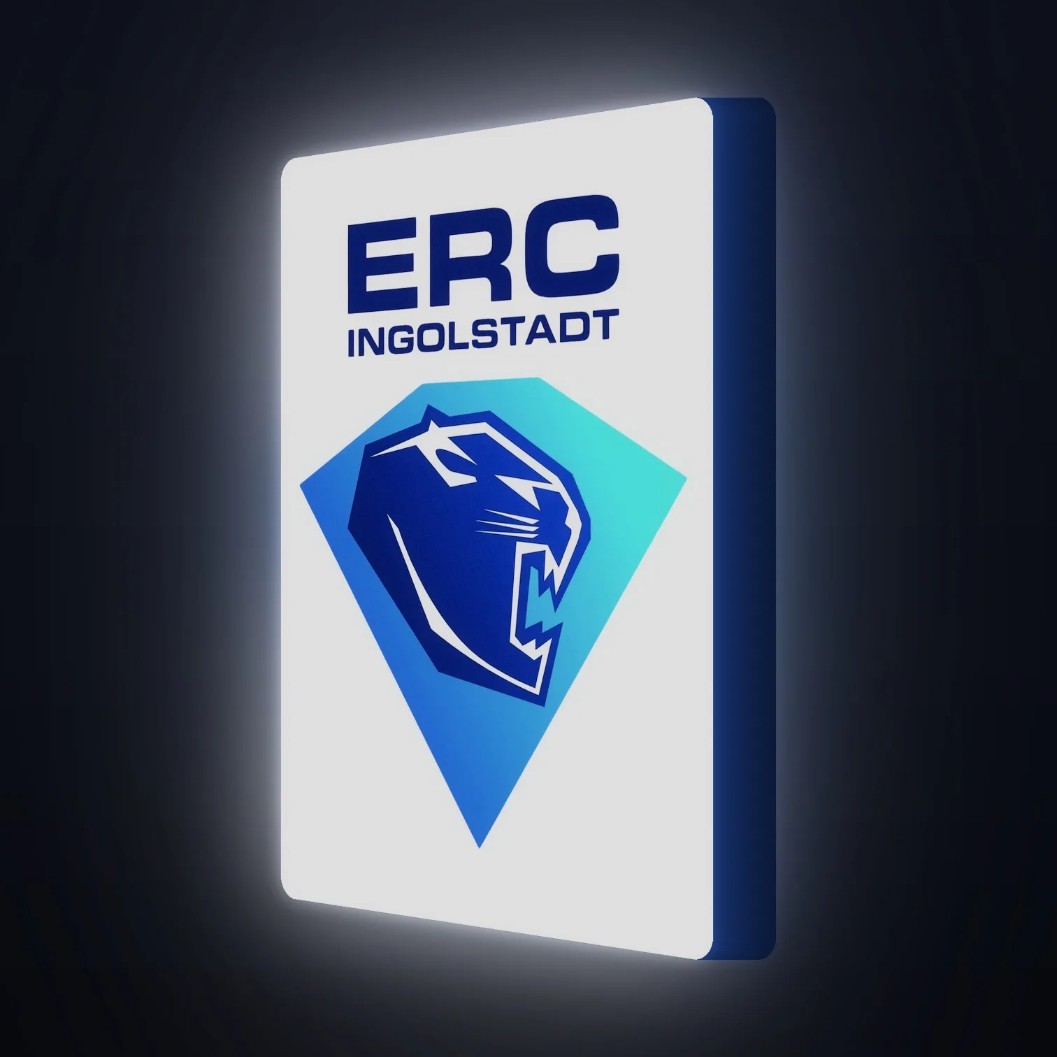 DEL ERC Ingolstadt LED-Leuchte III