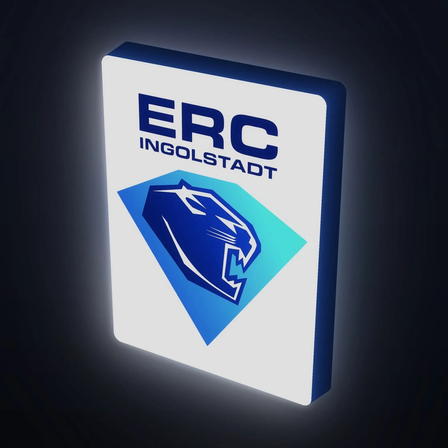 DEL ERC Ingolstadt LED-Leuchte III