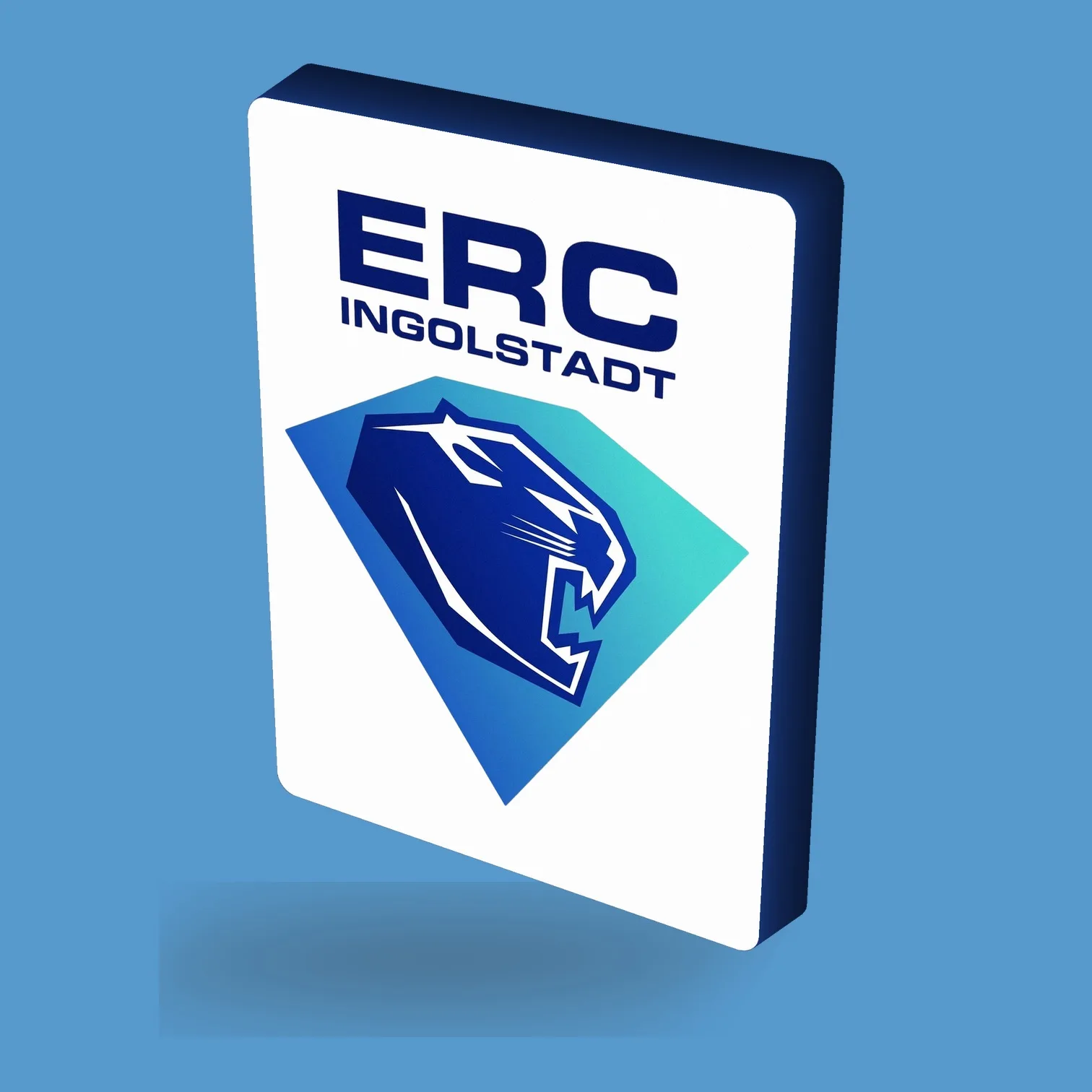 DEL ERC Ingolstadt LED-Leuchte III