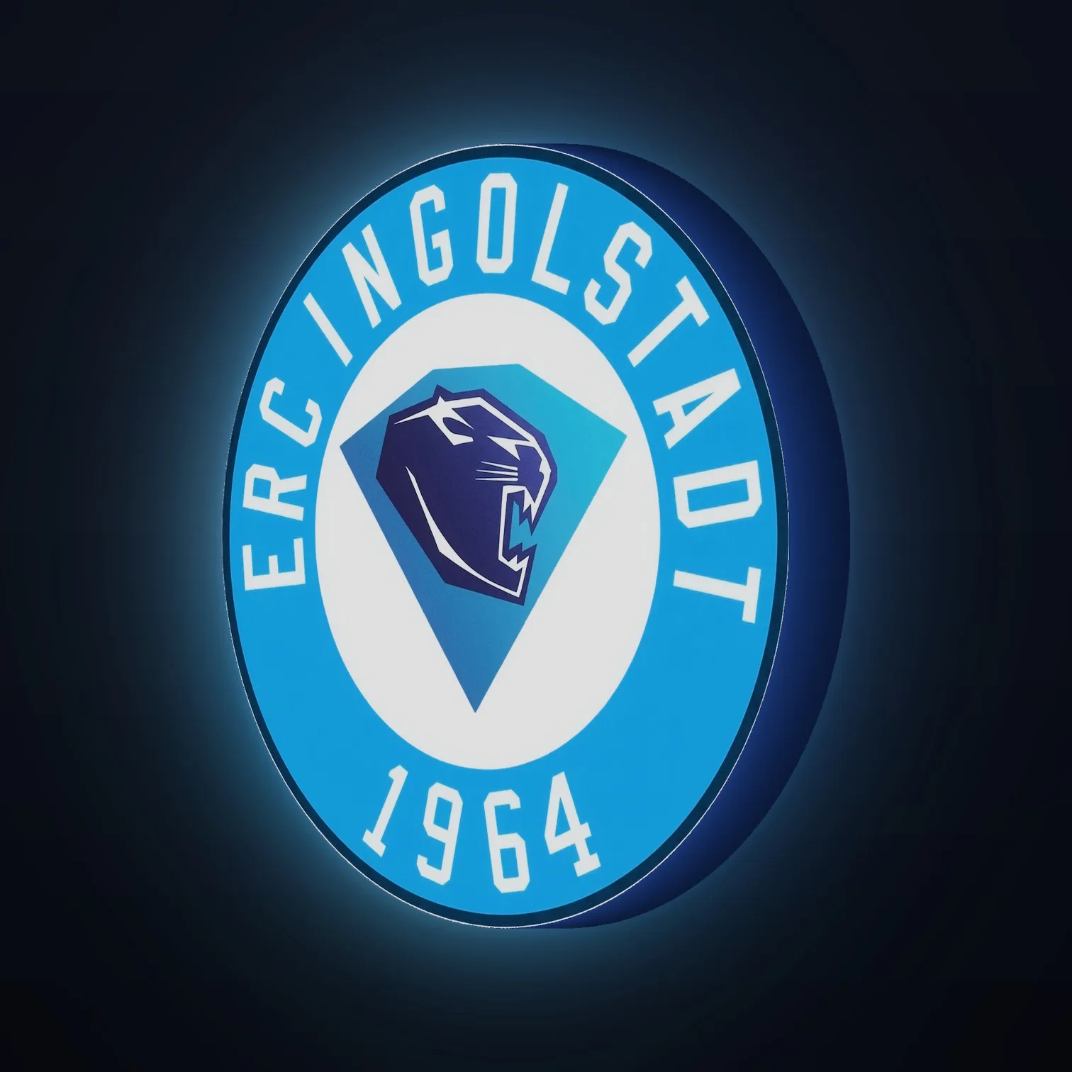 DEL ERC Ingolstadt LED-Leuchte IV