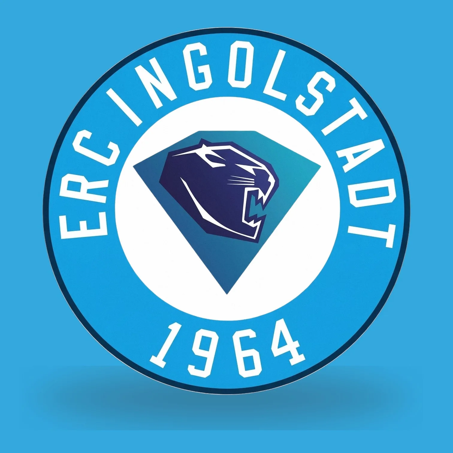 DEL ERC Ingolstadt LED-Leuchte IV