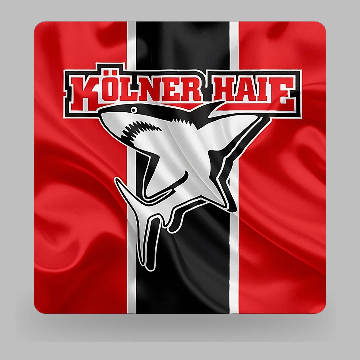 DEL Kölner Haie LED-Leuchte II