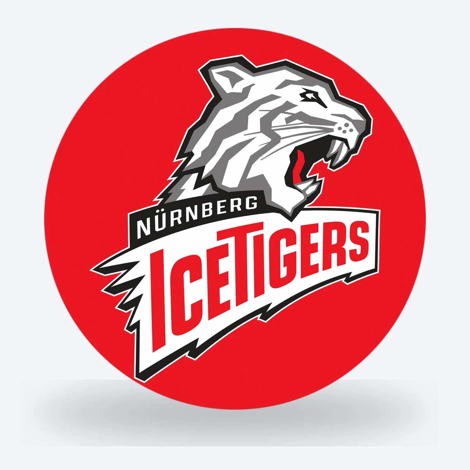 DEL Nürnberg IceTigers LED-Leuchte