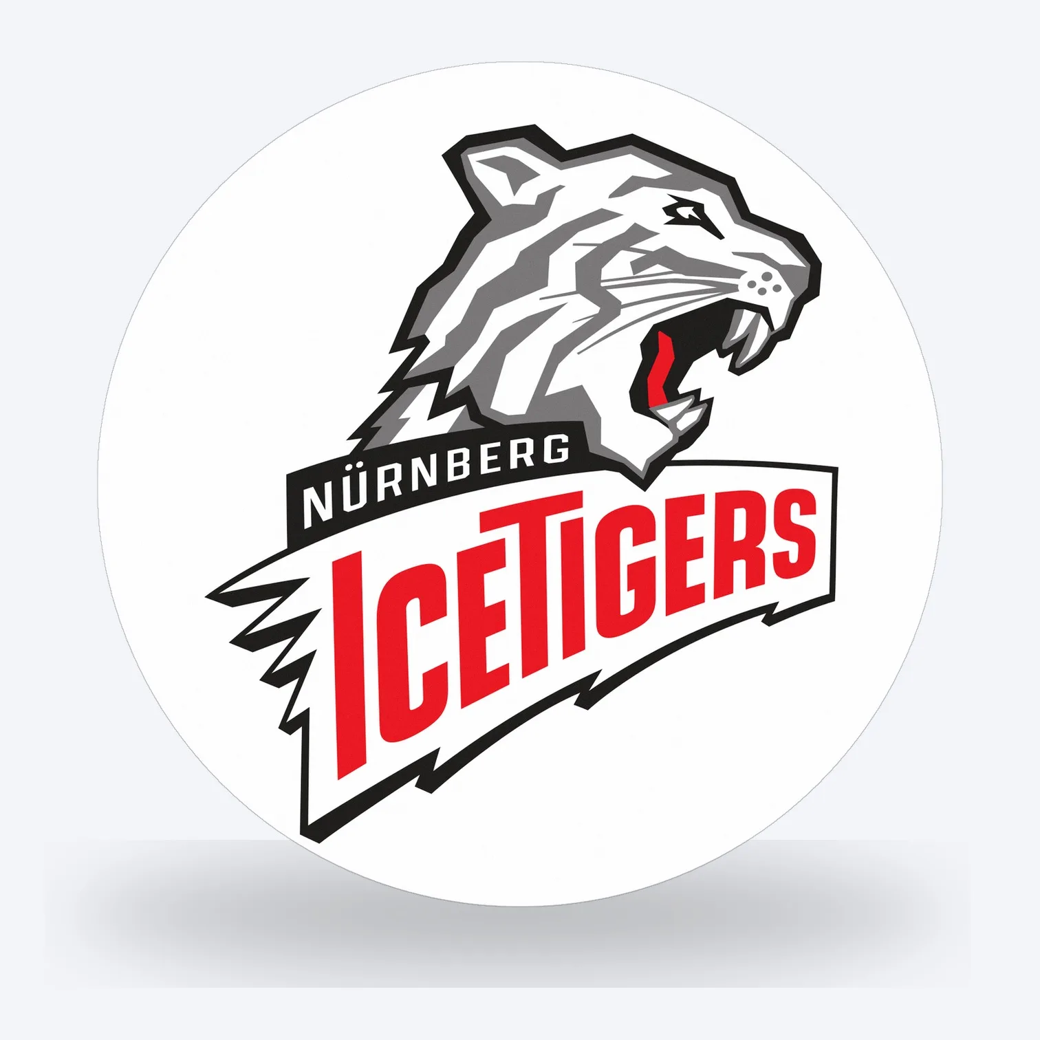 DEL Nürnberg IceTigers LED-Leuchte II