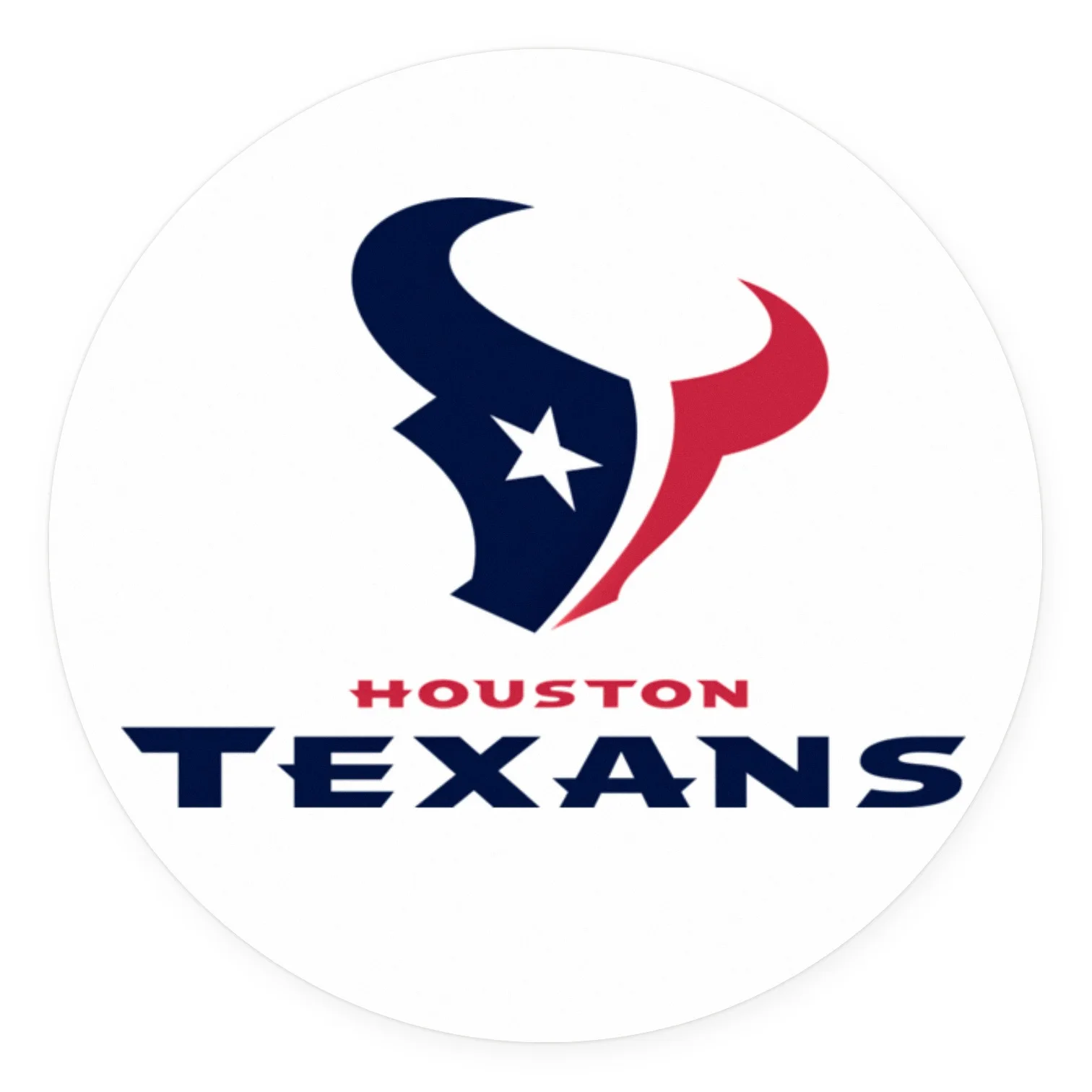 Houston Texans LED-Leuchte I