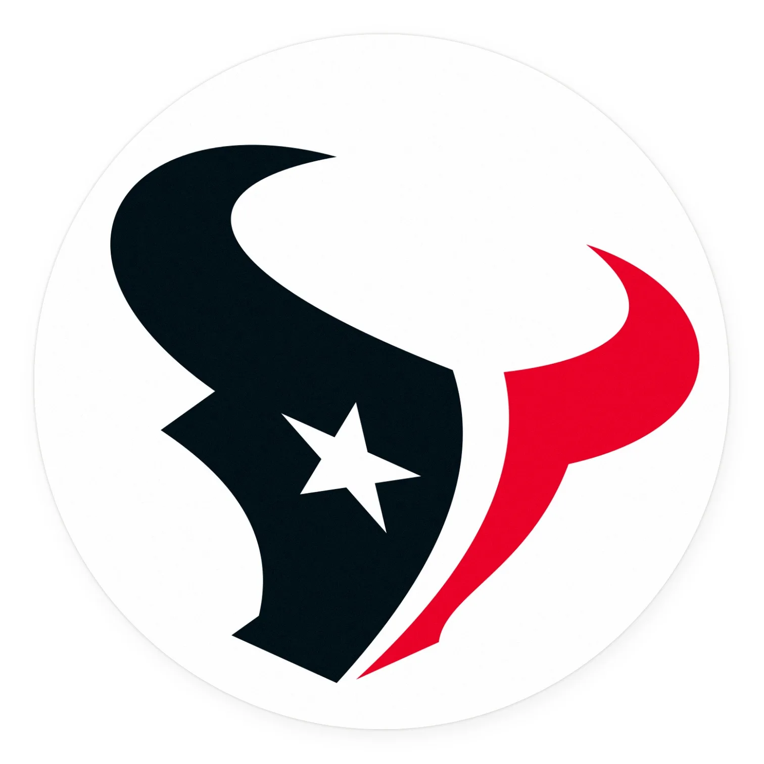 Houston Texans LED-Leuchte II
