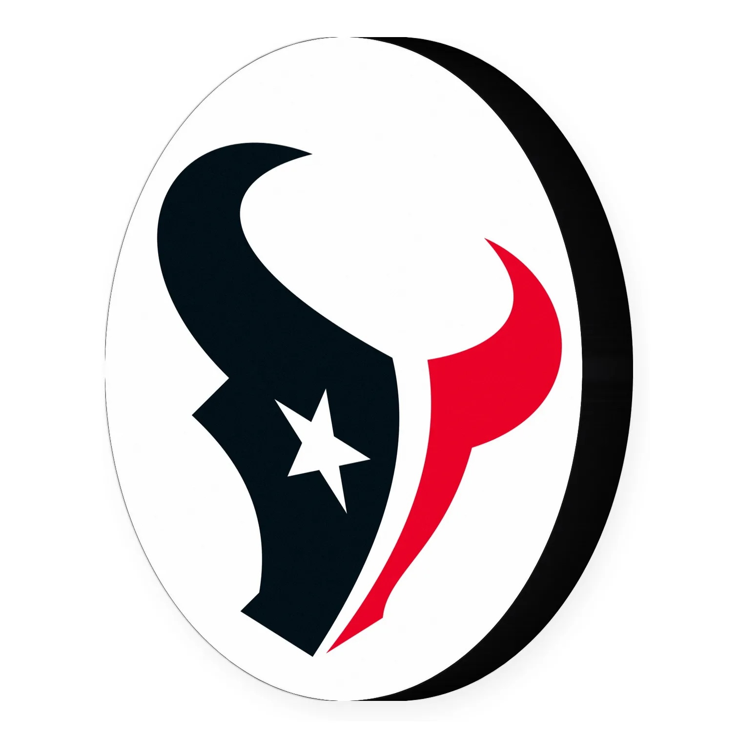 Houston Texans LED-Leuchte II