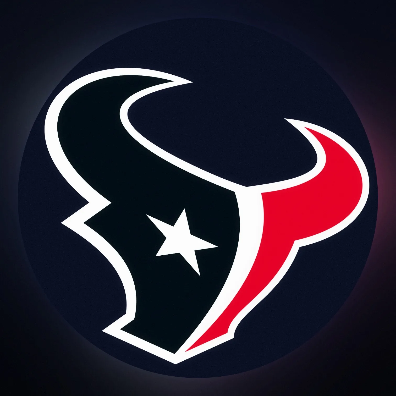 Houston Texans LED-Leuchte III