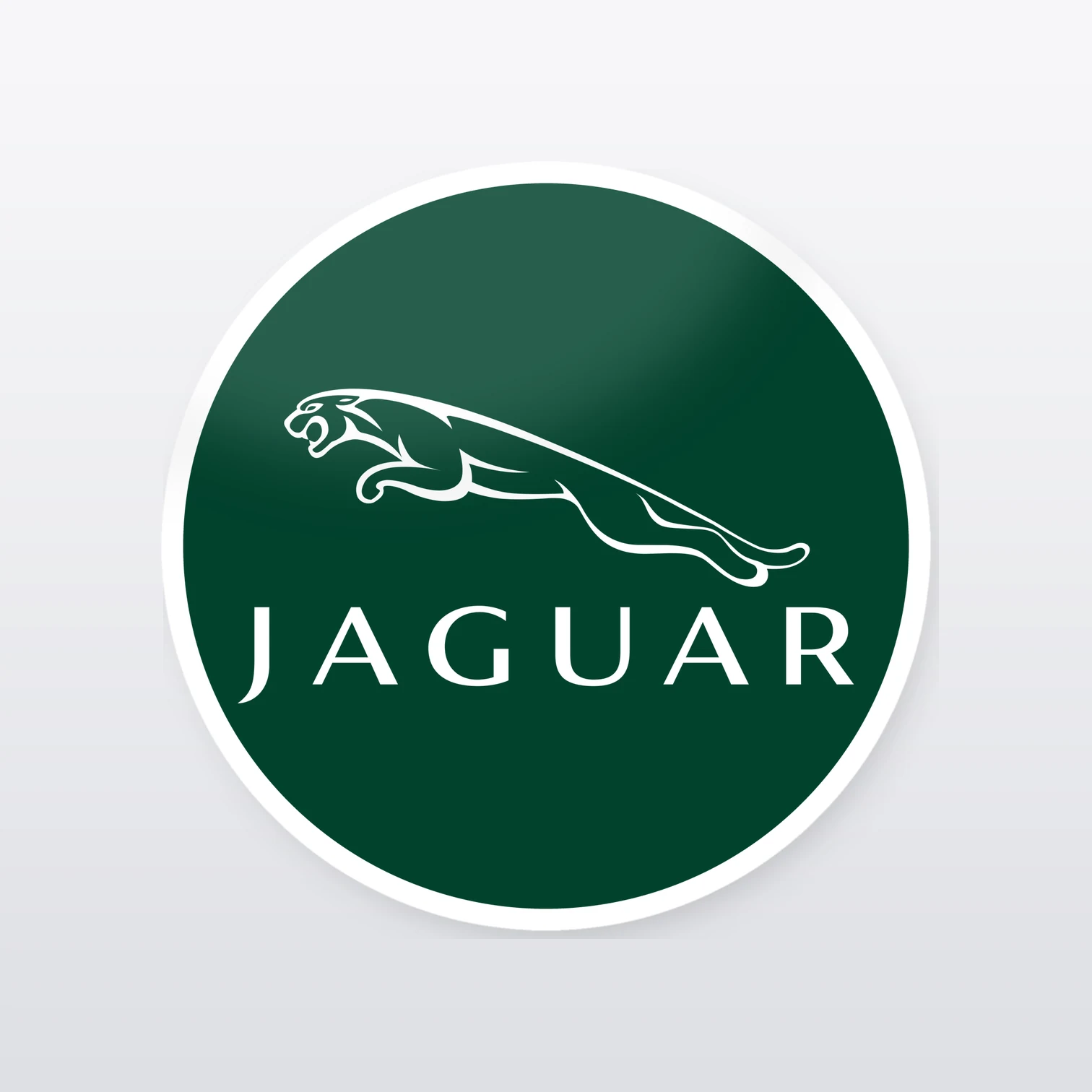 Jaguar Aufkleber Set – einzelner Aufkleber in Großaufnahme
